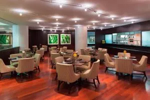 喜来登新奥尔良梅泰里酒店 - Jefferson