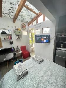 El Balcón de SúperAnfitrión Coyoacan