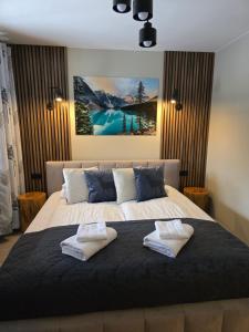 Apartament Mysliwski-Viva pod Giewontem Apartamenty