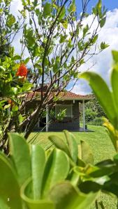 Canto dos Pássaros- Casa de campo em Gonçalves