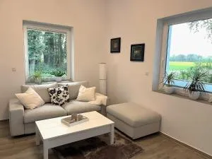 sanierte ruhige Wohnung in der Natur mit Küche - 韦特林根