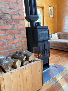 Vila Milica - Golija