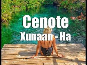 Tulum jungle penthouse