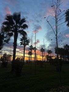 Glenis Apartment Vollga