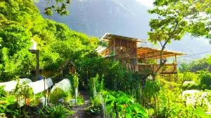 Granja Tzikin - Tzununá