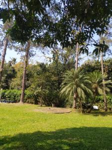 Suites Sítio do Sol