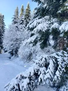 Bel appartement spacieux 44m² à SUPER BESSE pour 6 personnes - Vassivière