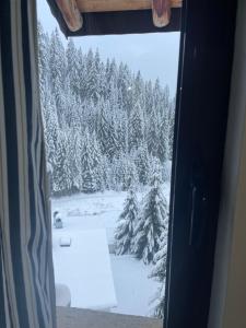 Stoykite Escape House