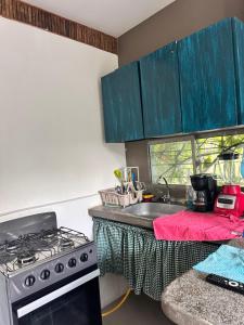Blue House
