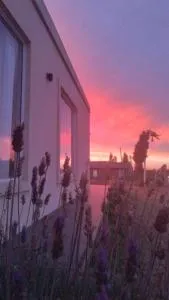 Disfruta tus Vacaciones en paz - Neptunia