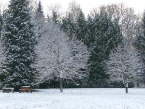 Lodges La Clairiere du Verbamont : photos des chambres