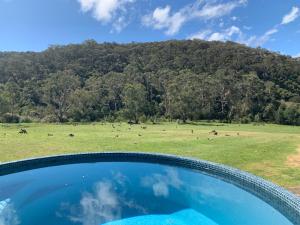 Yering Gorge Cottages