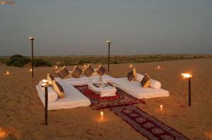 Excellent Desert Safari camp