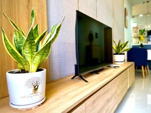 Căn Hộ 2 phòng ngủ Emerald cạnh Siêu Thị AEON mall Tân Phú