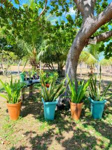 Chalé a 4km do Centro com Wi-Fi