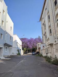 شقق شهم المفروشه