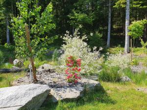 Appartements Duplex nature avec piscine, parc et Wi-Fi - FR-1-589-771 : photos des chambres