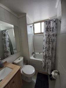 Viña del Mar - ARRIENDO DEPARTAMENTO AMOBLADO