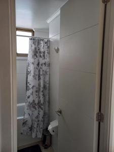 Viña del Mar - ARRIENDO DEPARTAMENTO AMOBLADO