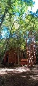 Cabaña Arrayan - Collentañe