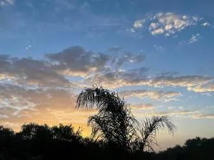 Iasis - 普拉提伊亚洛斯西弗诺斯