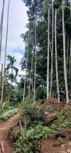 Rawana Rock Road Home