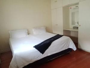 Afro Africa Poperties