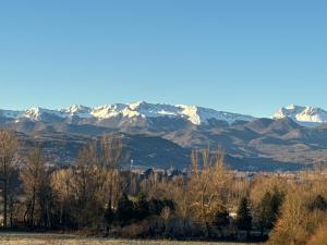 Attico - Terrazza su Castello
