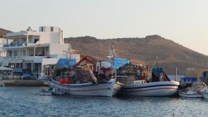 Elena Studios & Apartments Paros Greece
