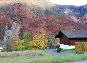 Chalets Les Curtillets : Chalet