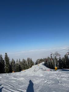 Borovets Mountain Apartment Sequoia