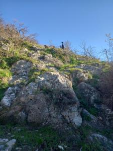 Autenticum Agriturismo Tolfa