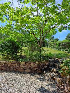 Maisons de vacances Notre Refuge : photos des chambres