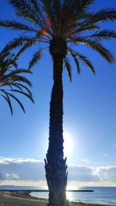 Apartamento Caravaca