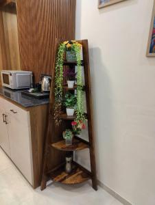 Nestle Luxury Homes 1