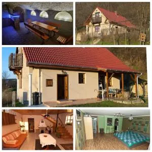 Sas-Fészek Vendégház - 代姆延