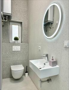 Cozy One-Room Apartment in heart of Prague