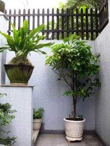 Shanti-blissed corner of Saigon river's end - Phước Lý