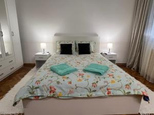 Apartman Jevtic