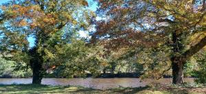Maisons de vacances Your Riverside Mill : photos des chambres