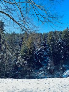 Na Świerkowym Strychu