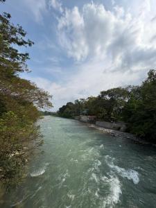 Asim Paris Guesthouse & jungle trekking