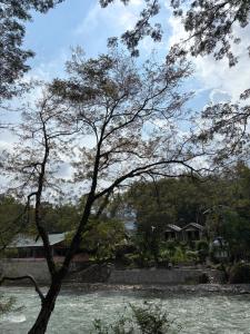 Asim Paris Guesthouse & jungle trekking