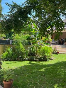 B&B / Chambres d'hotes Maison Jacotte orange : photos des chambres