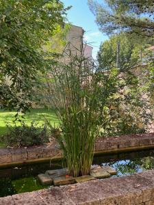 B&B / Chambres d'hotes Maison Jacotte orange : photos des chambres