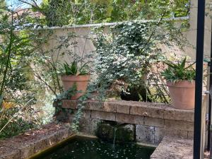 B&B / Chambres d'hotes Maison Jacotte orange : photos des chambres