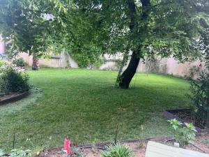 B&B / Chambres d'hotes Maison Jacotte orange : photos des chambres