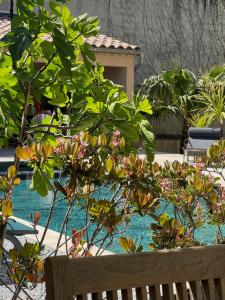 B&B / Chambres d'hotes Maison Jacotte orange : photos des chambres