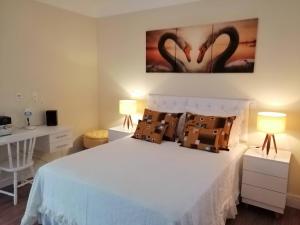 Apartamento Aconchegante de luxo da Elena