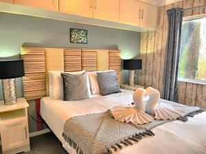 Welsh Villa-Hot Tub-Tenby-Carmarthen-Forestsetting